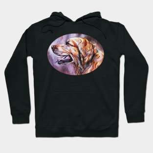 Golden Retriever Head Study Hoodie